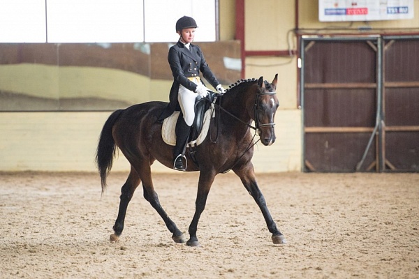 Обучение верховой езде в Ульяновске. Сервис Ultra Подарки. Купить обучение верховой езде в Ульяновске. Вы сможете попробовать курс по верховой езде и конные прогулки. Сервис UltraPodarki.ru 8 800 505 95 30. Обучение верховой езде, верховая езда в Ульяновске, верховая езда Ульяновск, конный спорт, уроки верховой езды, школа верховой езды, конные прогулки, верховая езда, школа верховой езды в Ульяновске, конные прогулки в Ульяновске, обучение верховой езде в Ульяновске, конный спорт в Ульяновске, уроки верховой езды в Ульяновске