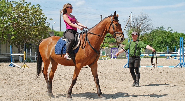 Обучение верховой езде в Ульяновске. Сервис Ultra Подарки. Купить обучение верховой езде в Ульяновске. Вы сможете попробовать курс по верховой езде и конные прогулки. Сервис UltraPodarki.ru 8 800 505 95 30. Обучение верховой езде, верховая езда в Ульяновске, верховая езда Ульяновск, конный спорт, уроки верховой езды, школа верховой езды, конные прогулки, верховая езда, школа верховой езды в Ульяновске, конные прогулки в Ульяновске, обучение верховой езде в Ульяновске, конный спорт в Ульяновске, уроки верховой езды в Ульяновске