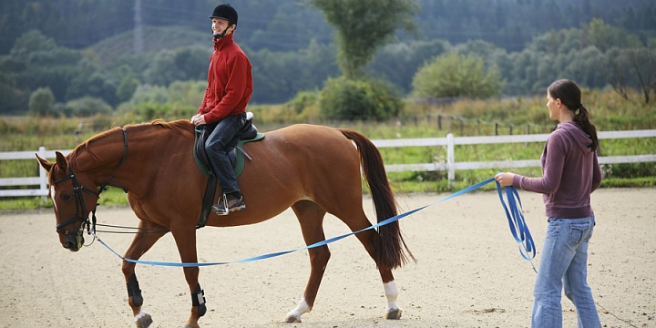 Обучение верховой езде в Ульяновске. Сервис Ultra Подарки. Купить обучение верховой езде в Ульяновске. Вы сможете попробовать курс по верховой езде и конные прогулки. Сервис UltraPodarki.ru 8 800 505 95 30. Обучение верховой езде, верховая езда в Ульяновске, верховая езда Ульяновск, конный спорт, уроки верховой езды, школа верховой езды, конные прогулки, верховая езда, школа верховой езды в Ульяновске, конные прогулки в Ульяновске, обучение верховой езде в Ульяновске, конный спорт в Ульяновске, уроки верховой езды в Ульяновске