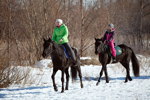 Конная прогулка в Ульяновске. Подарочные сертификаты Ultra Подарки. Купить оригинальный подарок или подарочный сертификат на Конная прогулка в Ульяновске. Сервис UltraPodarki.ru 8-800-505-9530. Катание на лошадях, Прогулка на лошади, Прогулка на лошадях для двоих, Конная прогулка, конный клуб, Конный клуб, конная прогулка, конная прогулка в Ульяновске