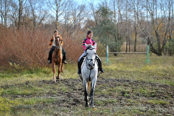 Конная прогулка в Ульяновске. Подарочные сертификаты Ultra Подарки. Купить оригинальный подарок или подарочный сертификат на Конная прогулка в Ульяновске. Сервис UltraPodarki.ru 8-800-505-9530. Катание на лошадях, Прогулка на лошади, Прогулка на лошадях для двоих, Конная прогулка, конный клуб, Конный клуб, конная прогулка, конная прогулка в Ульяновске