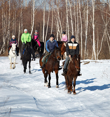 Конная прогулка в Ульяновске. Подарочные сертификаты Ultra Подарки. Купить оригинальный подарок или подарочный сертификат на Конная прогулка в Ульяновске. Сервис UltraPodarki.ru 8-800-505-9530. Катание на лошадях, Прогулка на лошади, Прогулка на лошадях для двоих, Конная прогулка, конный клуб, Конный клуб, конная прогулка, конная прогулка в Ульяновске