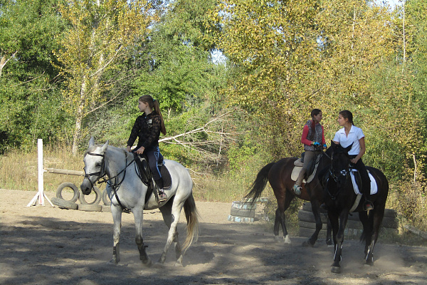 Конная прогулка в Ульяновске. Подарочные сертификаты Ultra Подарки. Купить оригинальный подарок или подарочный сертификат на Конная прогулка в Ульяновске. Сервис UltraPodarki.ru 8-800-505-9530. Катание на лошадях, Прогулка на лошади, Прогулка на лошадях для двоих, Конная прогулка, конный клуб, Конный клуб, конная прогулка, конная прогулка в Ульяновске