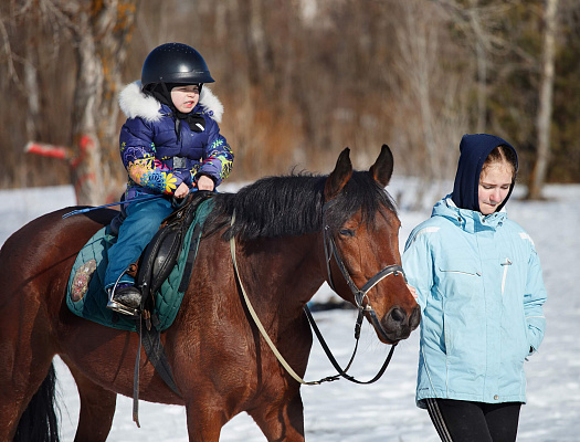 Конная прогулка в Ульяновске. Подарочные сертификаты Ultra Подарки. Купить оригинальный подарок или подарочный сертификат на Конная прогулка в Ульяновске. Сервис UltraPodarki.ru 8-800-505-9530. Катание на лошадях, Прогулка на лошади, Прогулка на лошадях для двоих, Конная прогулка, конный клуб, Конный клуб, конная прогулка, конная прогулка в Ульяновске