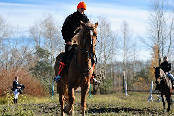 Конная прогулка в Ульяновске. Подарочные сертификаты Ultra Подарки. Купить оригинальный подарок или подарочный сертификат на Конная прогулка в Ульяновске. Сервис UltraPodarki.ru 8-800-505-9530. Катание на лошадях, Прогулка на лошади, Прогулка на лошадях для двоих, Конная прогулка, конный клуб, Конный клуб, конная прогулка, конная прогулка в Ульяновске