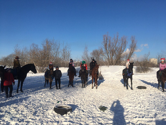 Конная прогулка в Ульяновске. Подарочные сертификаты Ultra Подарки. Купить оригинальный подарок или подарочный сертификат на Конная прогулка в Ульяновске. Сервис UltraPodarki.ru 8-800-505-9530. Катание на лошадях, Прогулка на лошади, Прогулка на лошадях для двоих, Конная прогулка, конный клуб, Конный клуб, конная прогулка, конная прогулка в Ульяновске