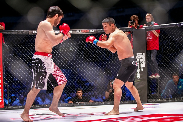 Смешанные единоборства в Ульяновске. Сервис Ultra Подарки. Купить подарочный сертификат на смешанные единоборства в Ульяновске. Опытные инструкторы обучат вас ММА. Сервис UltraPodarki.ru 8 800 505 95 30. Смешанные единоборства, бои без правил, ММА, смешанные единоборства в Ульяновске, UFC, смешанные боевые искусства, бои без правил Ульяновск, UFC Ульяновск, смешанные боевые искусства Ульяновск, ММА Ульяновск, занятия ММА Ульяновск
