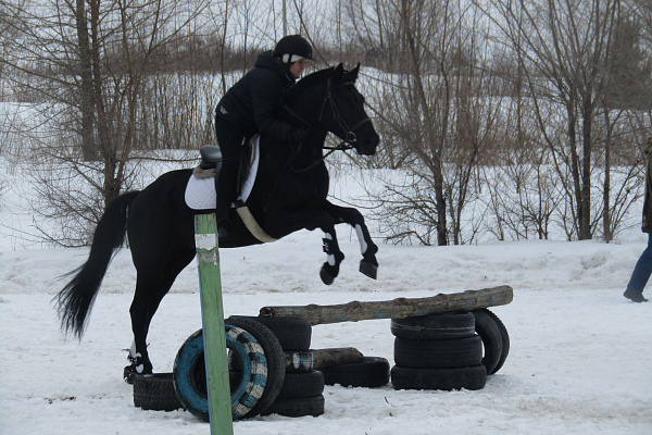Конная прогулка в Ульяновске. Подарочные сертификаты Ultra Подарки. Купить оригинальный подарок или подарочный сертификат на Конная прогулка в Ульяновске. Сервис UltraPodarki.ru 8-800-505-9530. Катание на лошадях, Прогулка на лошади, Прогулка на лошадях для двоих, Конная прогулка, конный клуб, Конный клуб, конная прогулка, конная прогулка в Ульяновске